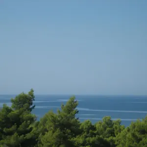 Seapine , Lassi (Kefalonia) Grecia